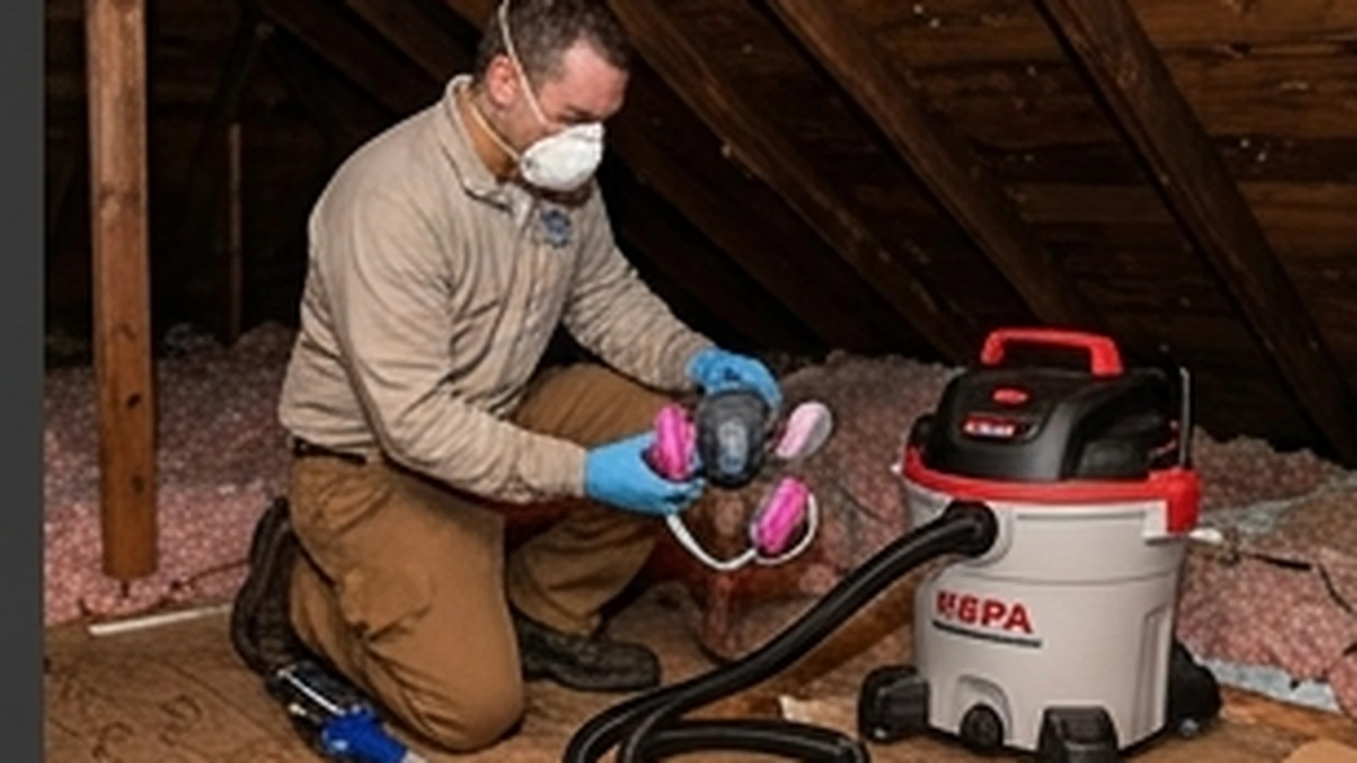 Bat guano cleanup attic decontamination and restoration